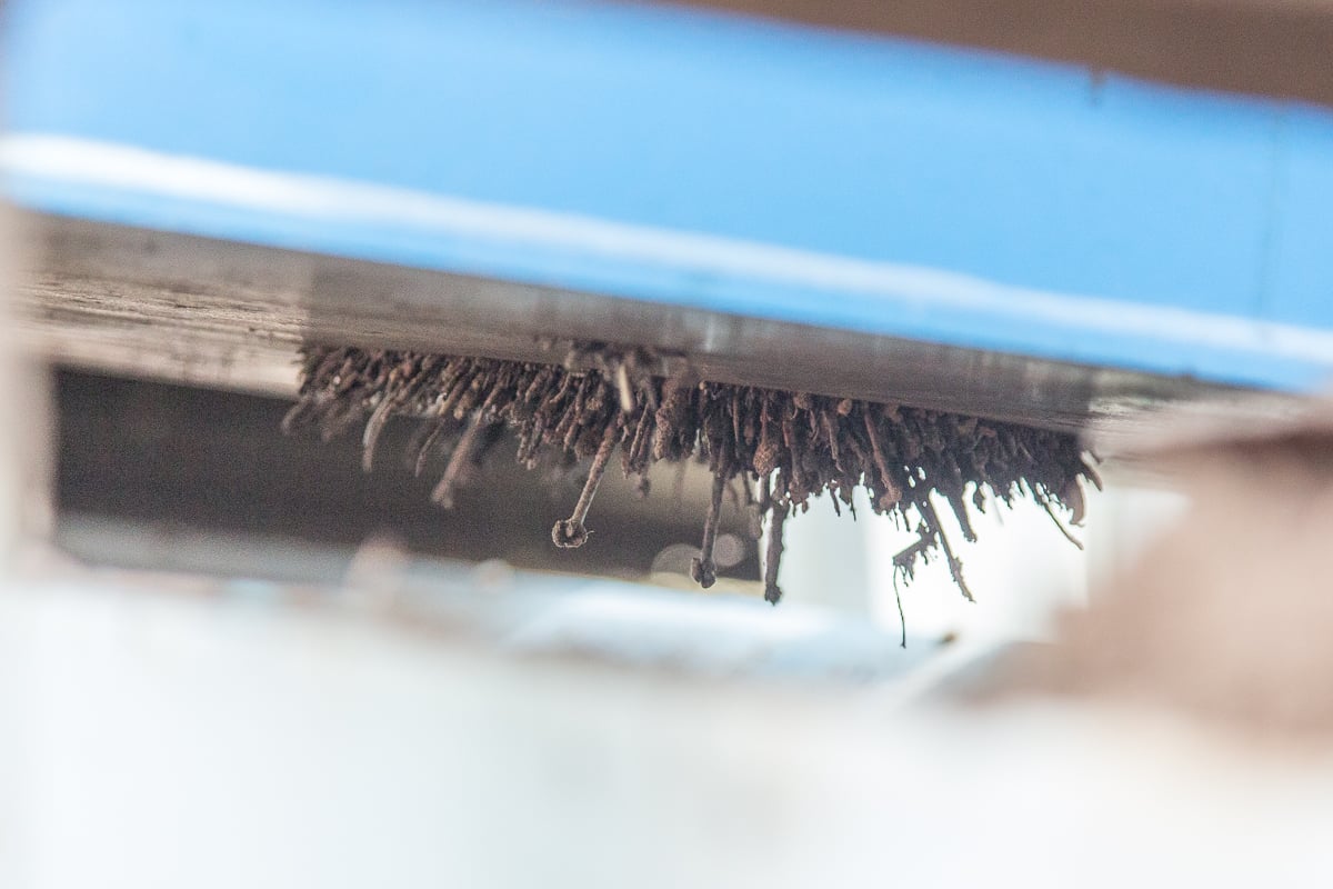 Bunting_Electro_Suspension_Magnet-7709