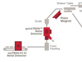 Bunting-Vegetable_Stage_4_5-Bunting-Magnetic Separation-Metal Detection