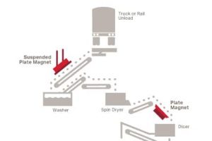 Bunting-Vegetable_Stage_1_2_Bunting-Magnetic Separation-Metal Detection