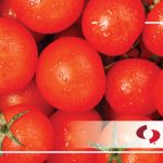 Getting Metal Out of Processed Vegetables - Magnetic Separation and Metal Detection-Bunting